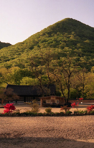 선운사 앞산