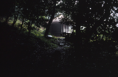 goni005.jpg