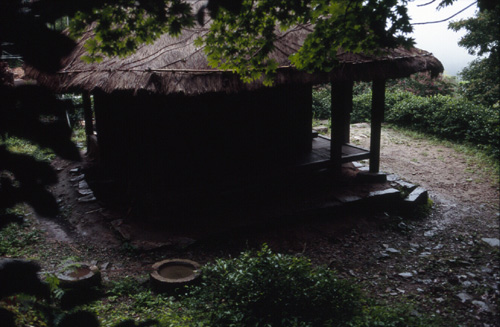 goni005a.jpg