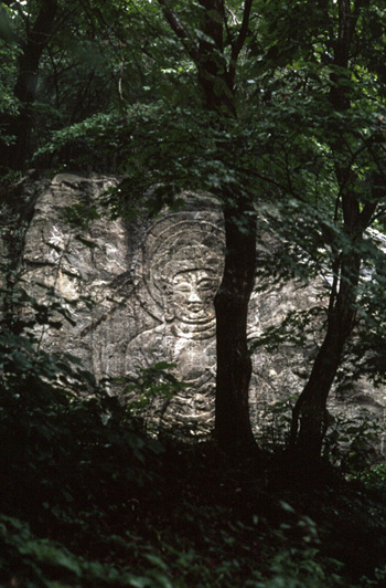 goni009.jpg