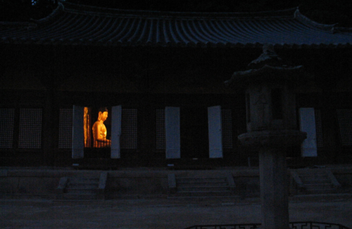 goni010.jpg
