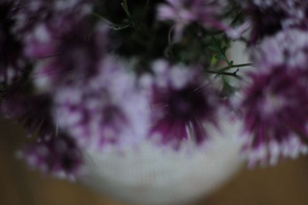 dsc_0162.JPG